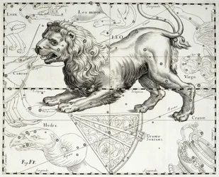 Lion, constellation zodiacale du Lion, illustration tirée de l