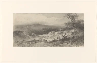 Paysage de dunes