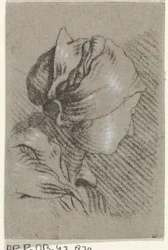Buste de femme