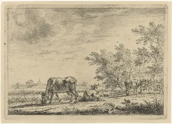 Trois vaches dans un pré