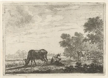 Trois vaches dans un pré