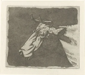 Tête de vache