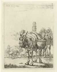 Deux mules chargées