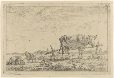 Prairie avec vache et moutons