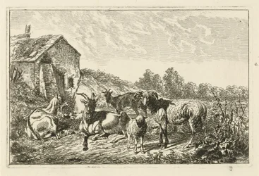 Quatre chèvres et un mouton près d