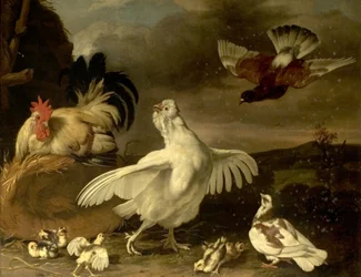 Coq et poule avec poussins et pigeons
