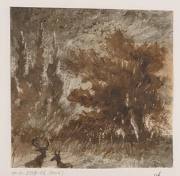 Cerfs et oiseaux près de grands arbres