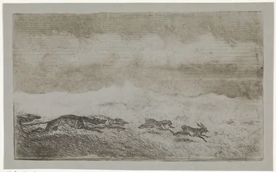 Chasse au lièvre