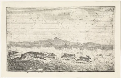 Chasse aux lièvres