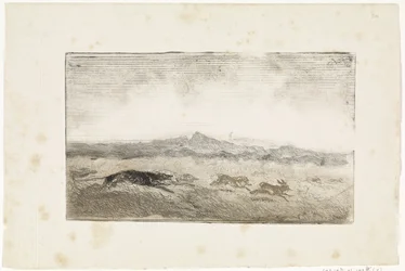Chasse au lièvre