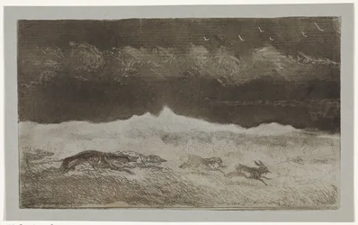 Chasse au lièvre