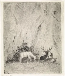 Cerfs dans une forêt bohémienne