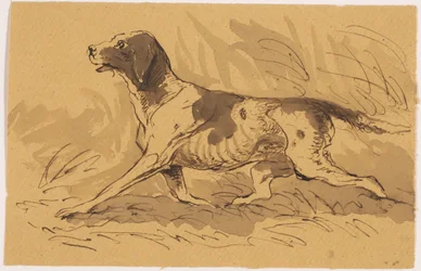 Chien de chasse