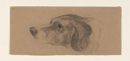 Tête de chien, vers la gauche