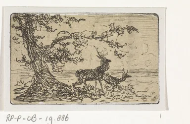 Deux cerfs sous un arbre