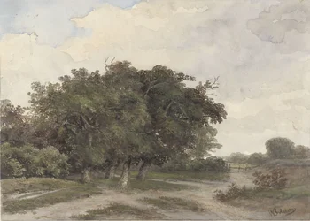 Paysage avec des arbres