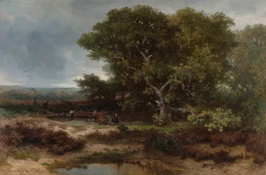 La lande près de Wolfheze