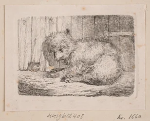 Un chien à poil long