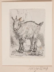 Un chevreau