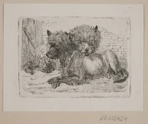 Deux chiens couchés