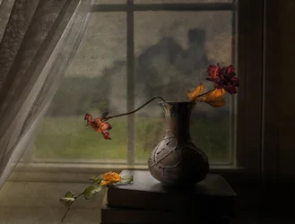 Vue depuis la fenêtre sur des roses séchées