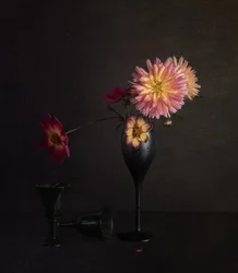 Nature morte « Moody Dahlia »