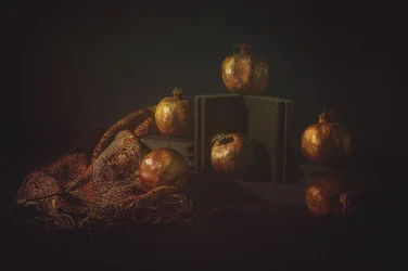 Nature morte à la grenade de Moody