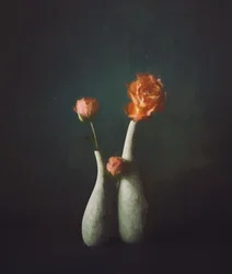 Vases « Moody Rose »
