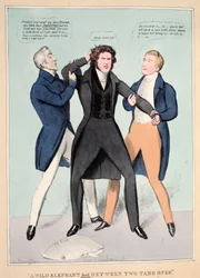 "Un éléphant sauvage conduit entre deux apprivoisés", pub. 1830