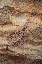Girafe, peinture rupestre, période pastorale (4000-2500 avant J.-C.), Tassili n