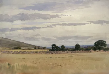 Paysage avec champ de blé