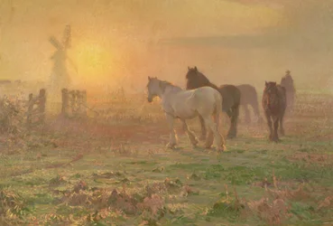 Le jour qui vient (huile sur toile)