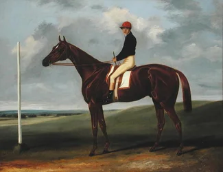 Poulain alezan avec jockey et poteau de départ