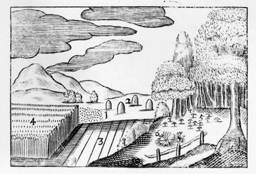 Fruits de la Terre, 1658