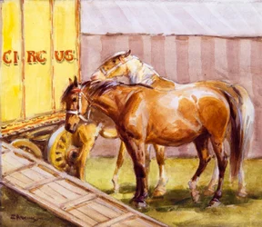Chevaux de cirque
