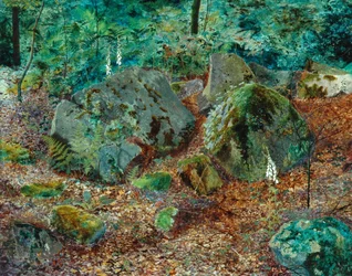 Une vallée moussue