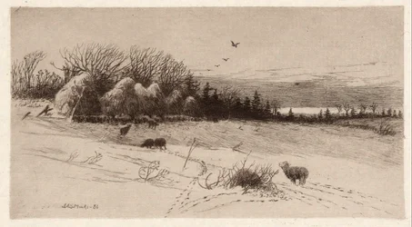 Moutons dans la neige