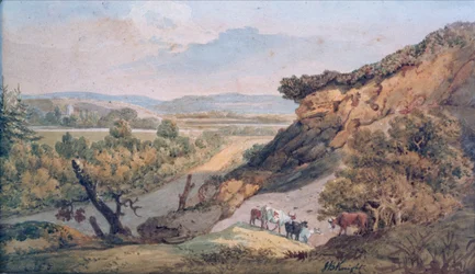 Ringwood
