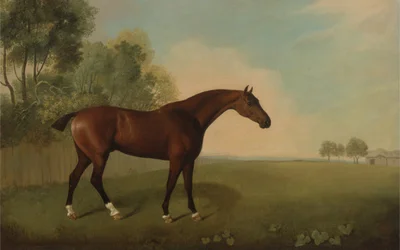 Un cheval bai dans un champ, 1778
