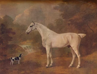 Un gris piqué de puces et un terrier tacheté, 1803