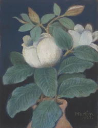 Fleurs de magnolia, 1933