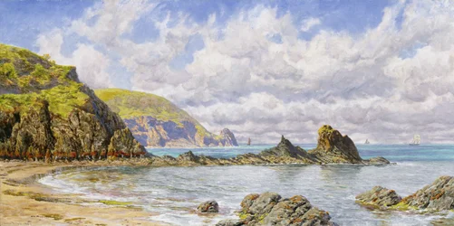 Anse forestière, baie de Cardigan