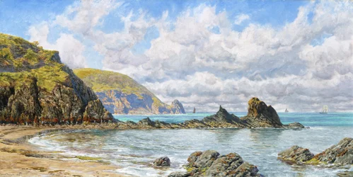 Crique forestière, baie de Cardigan