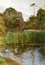 Un jardin d