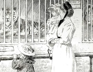 Belle Sauvage, pour 