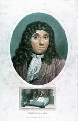 Anton van Leeuwenhoek, microscopiste néerlandais