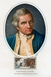 Portrait de James Cook, 1800