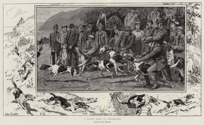 Une course de chiens en Cumberland