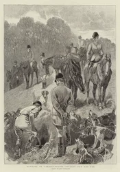 Chasse au Cardiganshire, déterrage du renard