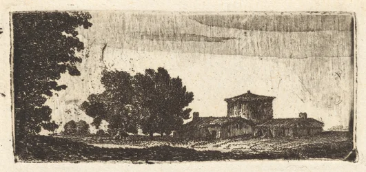 Arbres avec un bâtiment bas